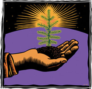 Hand Holding Sapling --- Image by © Images.com/Corbis