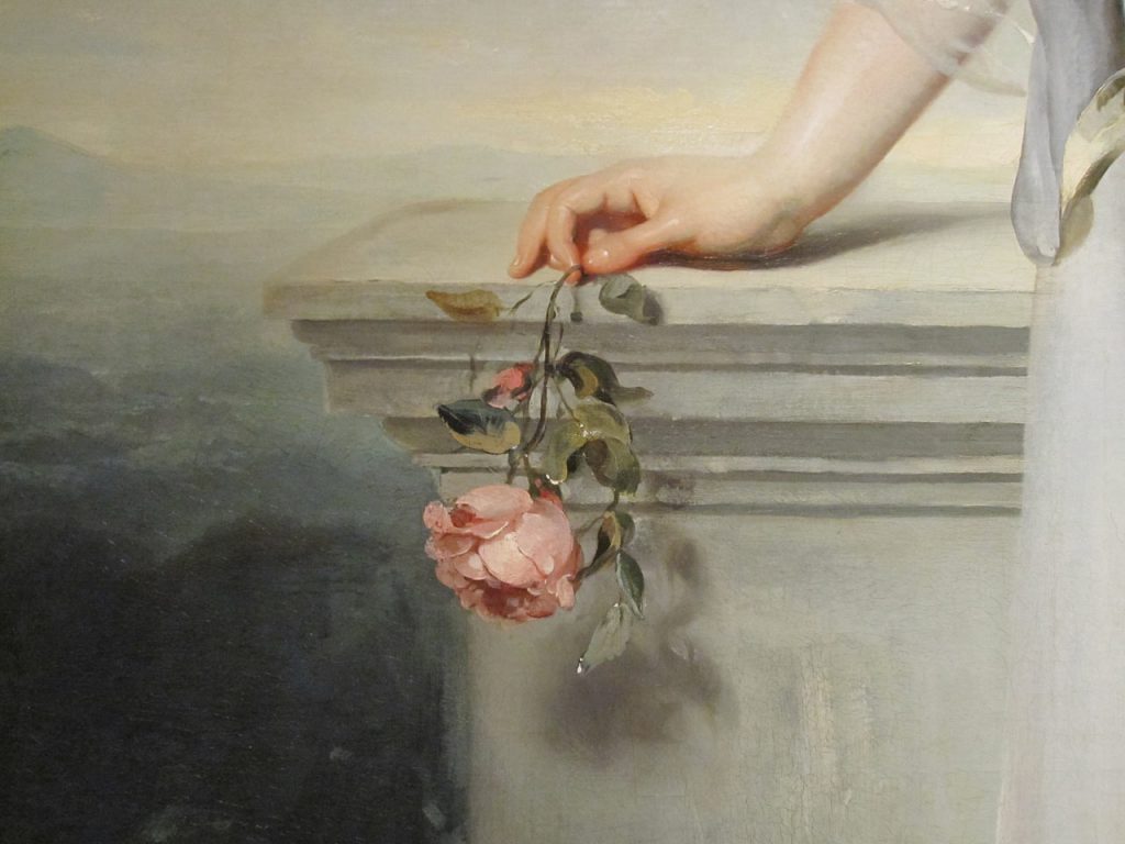 A rose painted by the British painter Thomas Lawrence