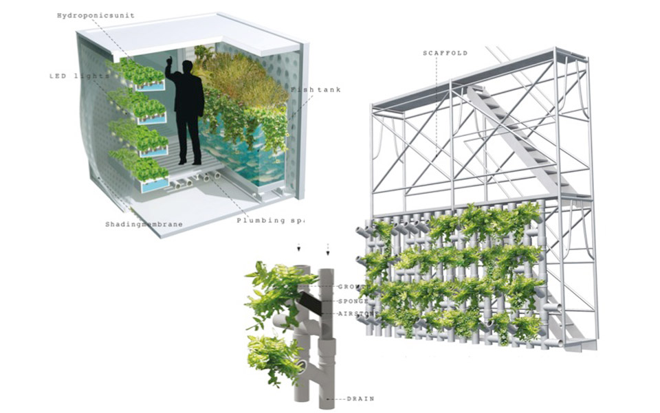 food-growing-cell