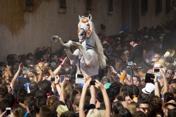 جشن « جان مقدس» و رژه اسب سواران از میان جمعیت در شهر Ciutadella 